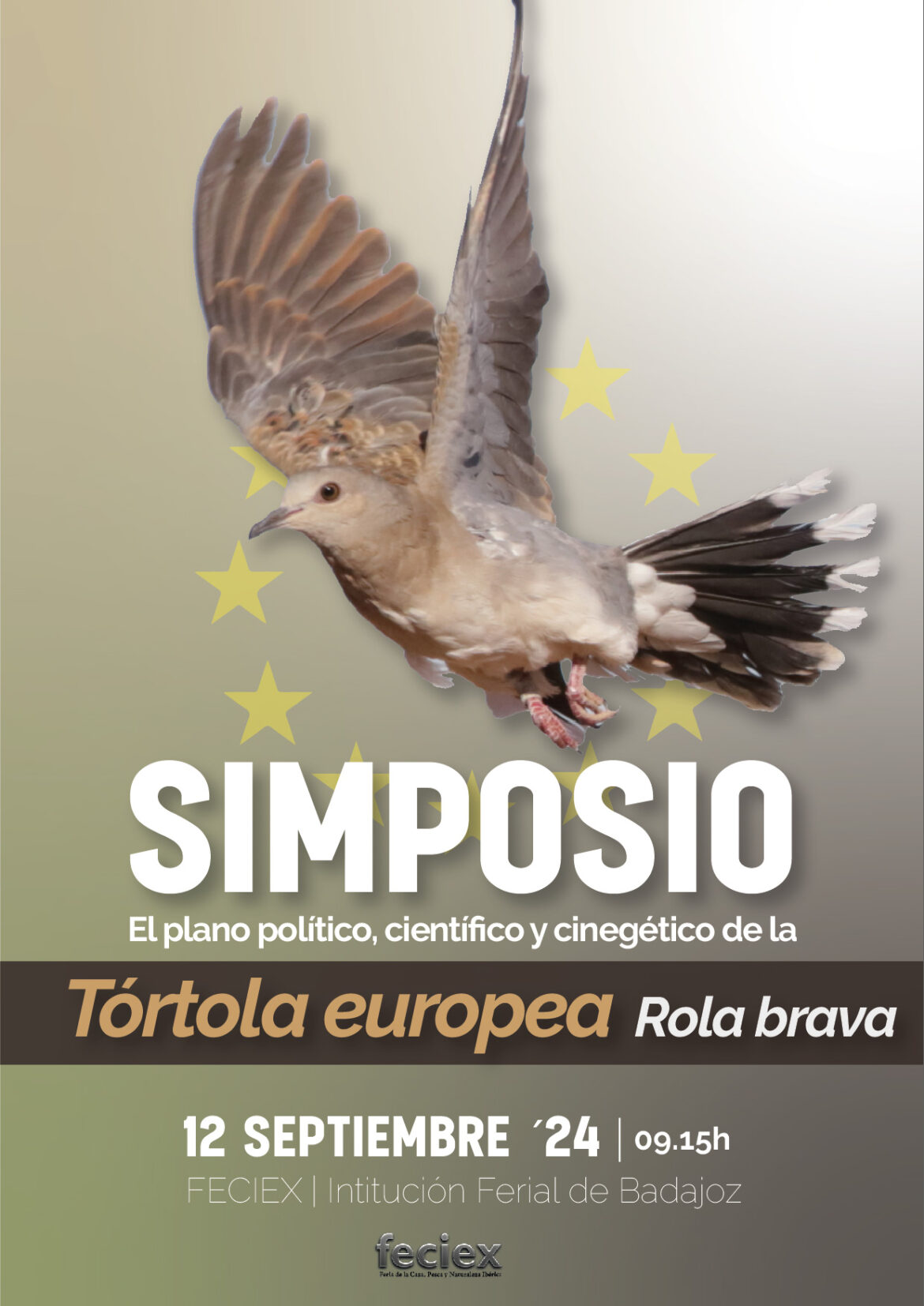 Cartel Simposio tórtola_3_Mesa de trabajo 1