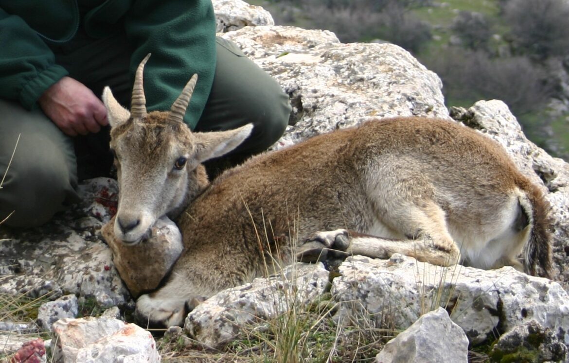 481681020_2194062650997150_4996840819030150944_n