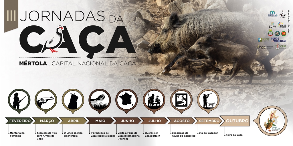 banner caça