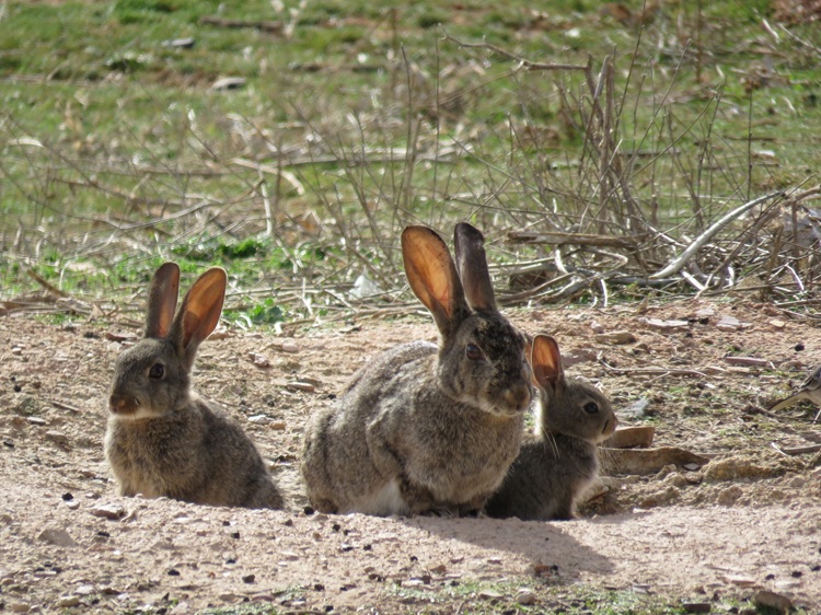 503258746_1110308671137500_7745804980171742983_n