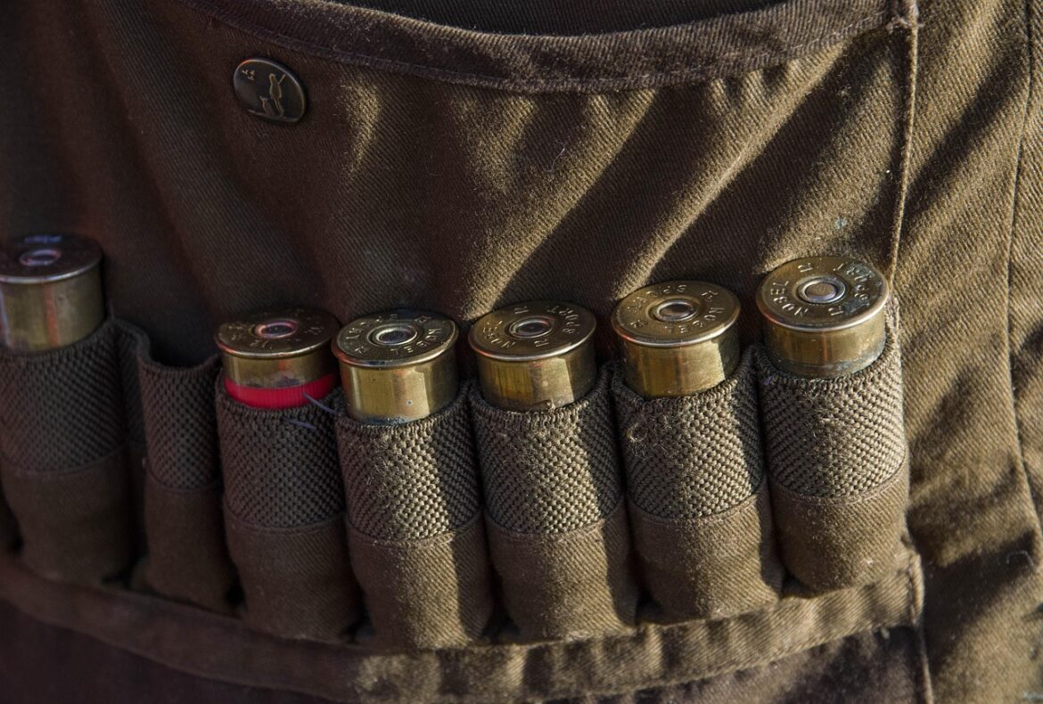 cartridges-5965109_1280